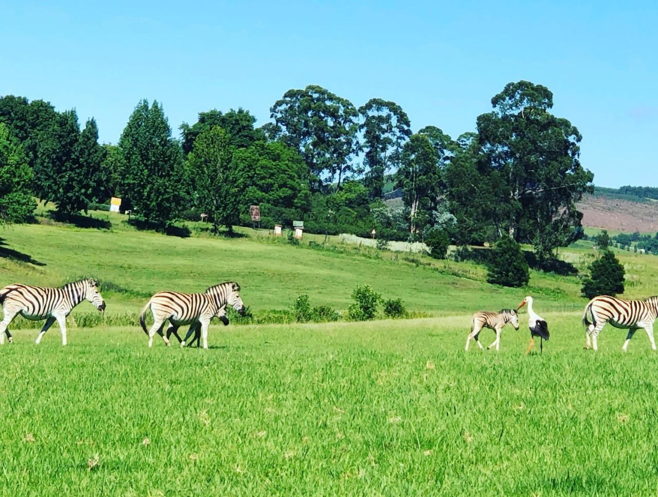 St Ives Midlands Βίλα Lidgetton Εξωτερικό φωτογραφία